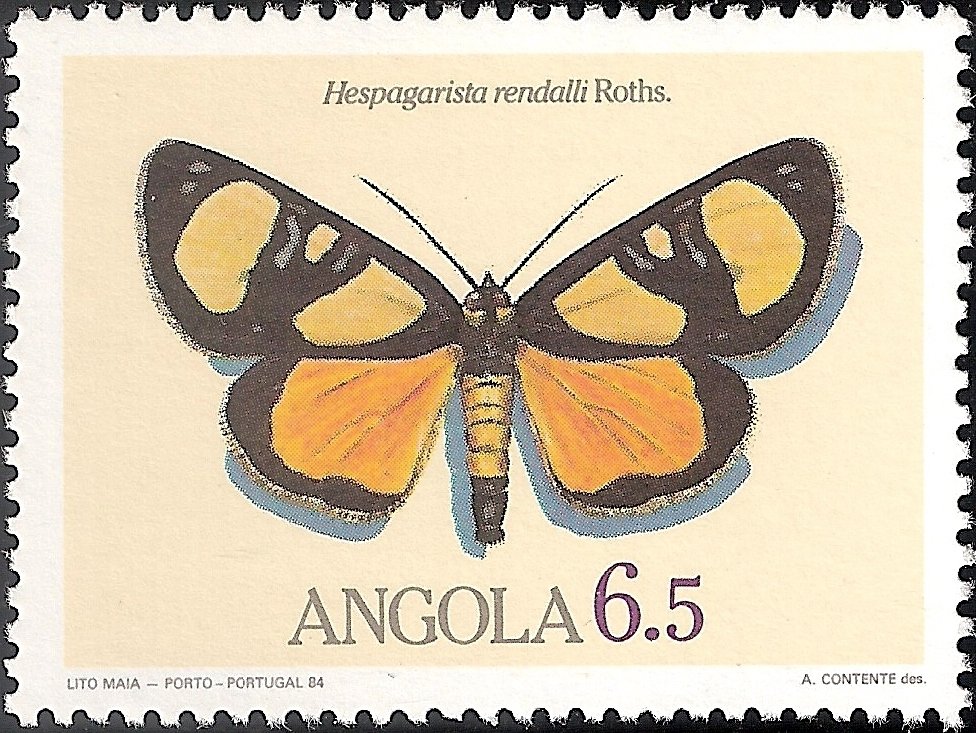 (Hespagarista rendalli)