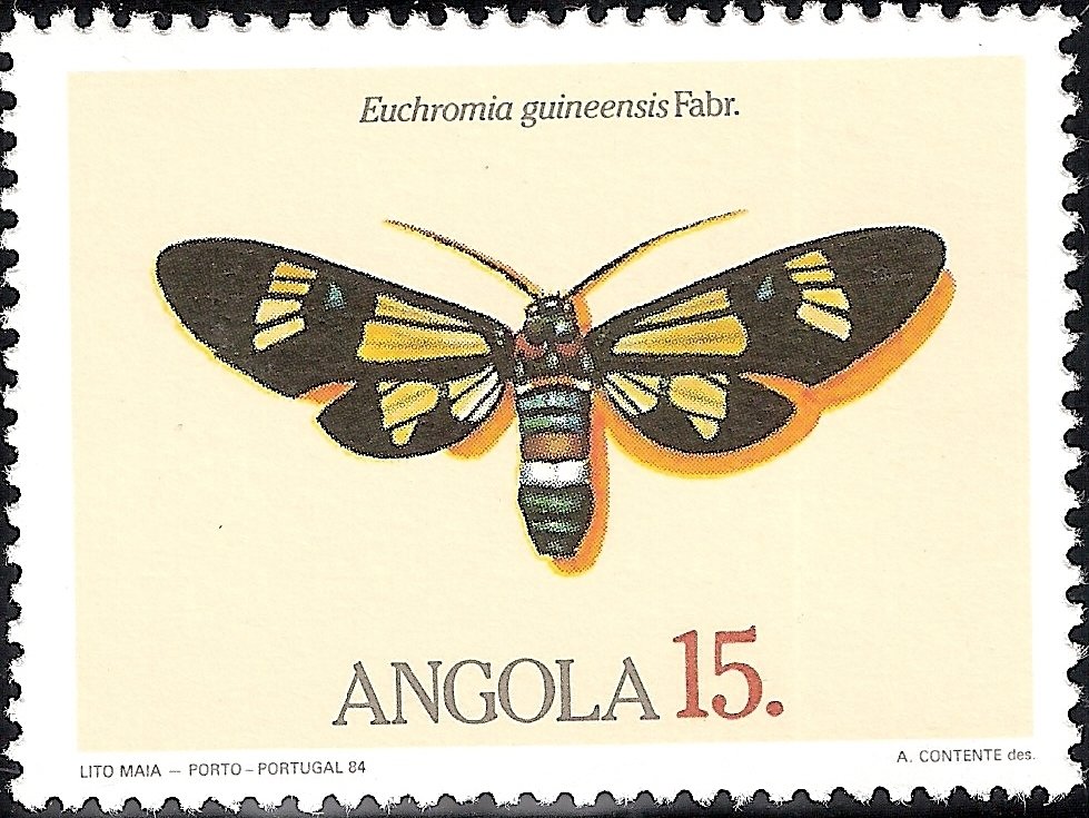 (Euchromia guineensis)