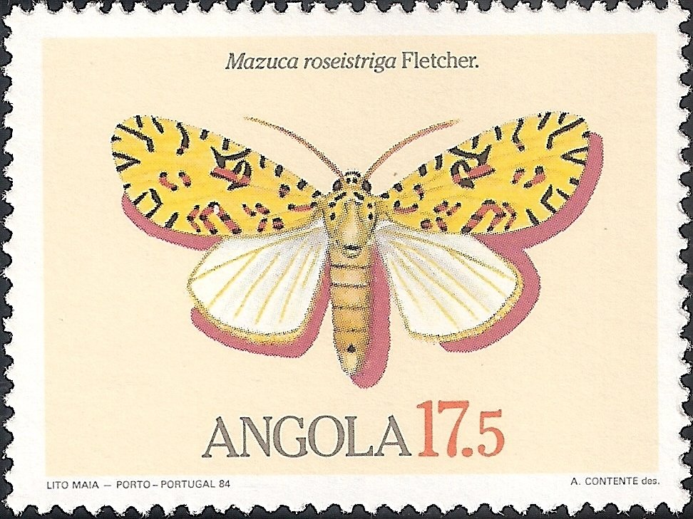 (Mazuca roseistriga)