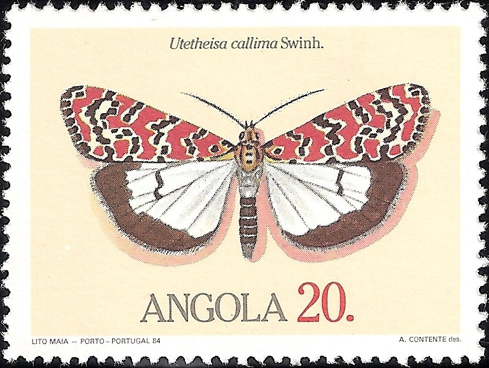 (Utetheisa callima)