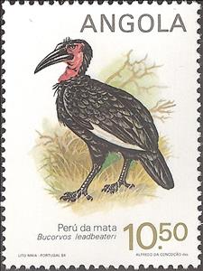 Stamp, Southern Ground Hornbill (Bucorvus cafer), Angola,  , Birds