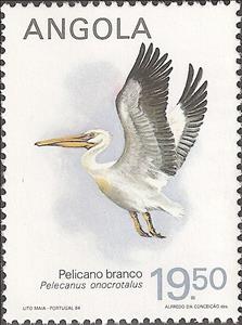 Stamp, Rosy Pelican (Pelecanus onocrotalus), Angola,  , Birds, Animals (Fauna), Pelicans