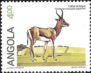 Stamp, Angolan Springbok (Antidorcas marsupalis angolensis) , Angola,  , Animals (Fauna)