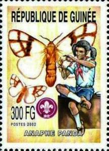 Stamp, Anaphe panda, Guinea,  , Animals (Fauna), Butterflies, Insects