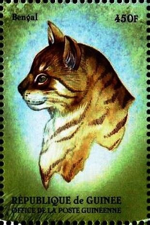 Bengal