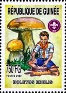 Stamp, Boletus edulis, Guinea,  , Mushrooms