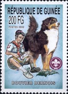 Stamp, Bouvier Bernois, Guinea,  , Animals (Fauna), Dogs, Scouting