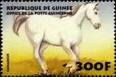 Camargue