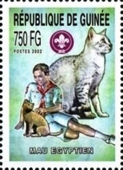 Egyptian Mau