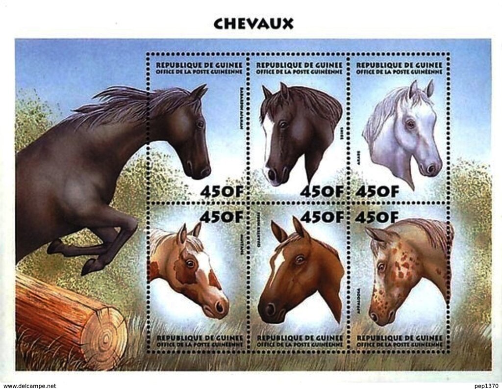 Horses