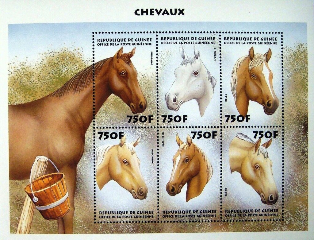 Horses