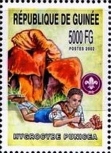 Stamp, Hygrocybe punicea, Guinea,  , Mushrooms