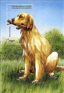 Souvenir Sheet, Irish Setter, Guinea,  , Animals (Fauna), Dogs, Mammals