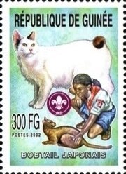 Japanese bobtail