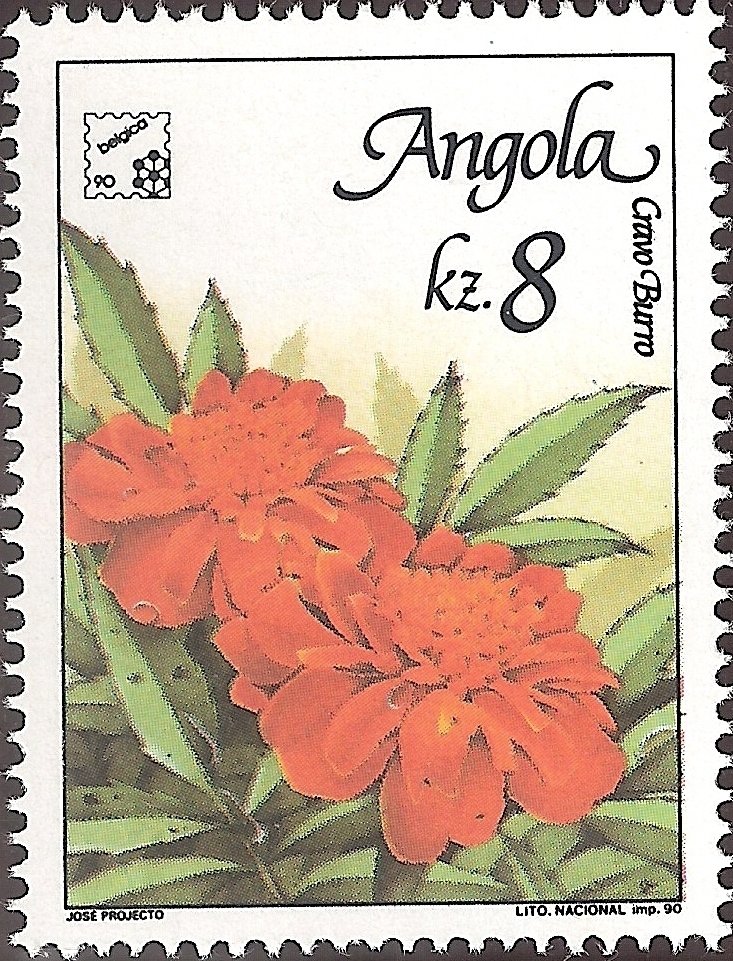 Flowers of Angola