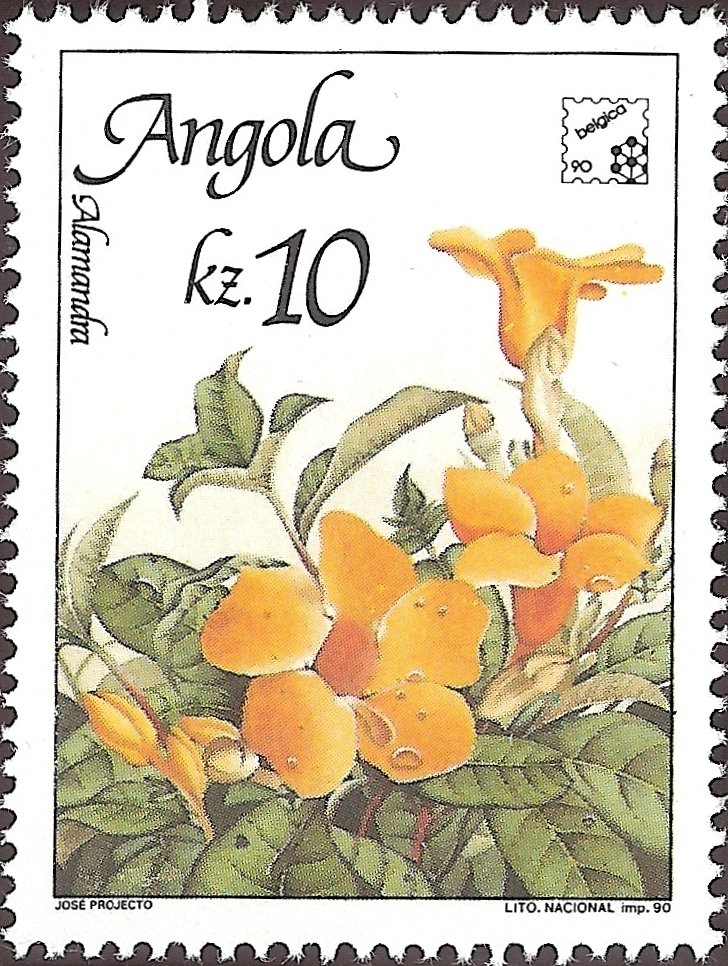 Flowers of Angola