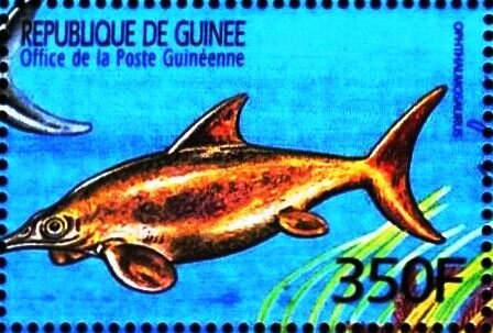 Ophthalmosaurus