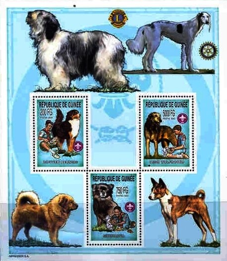 Scouts and Dogs