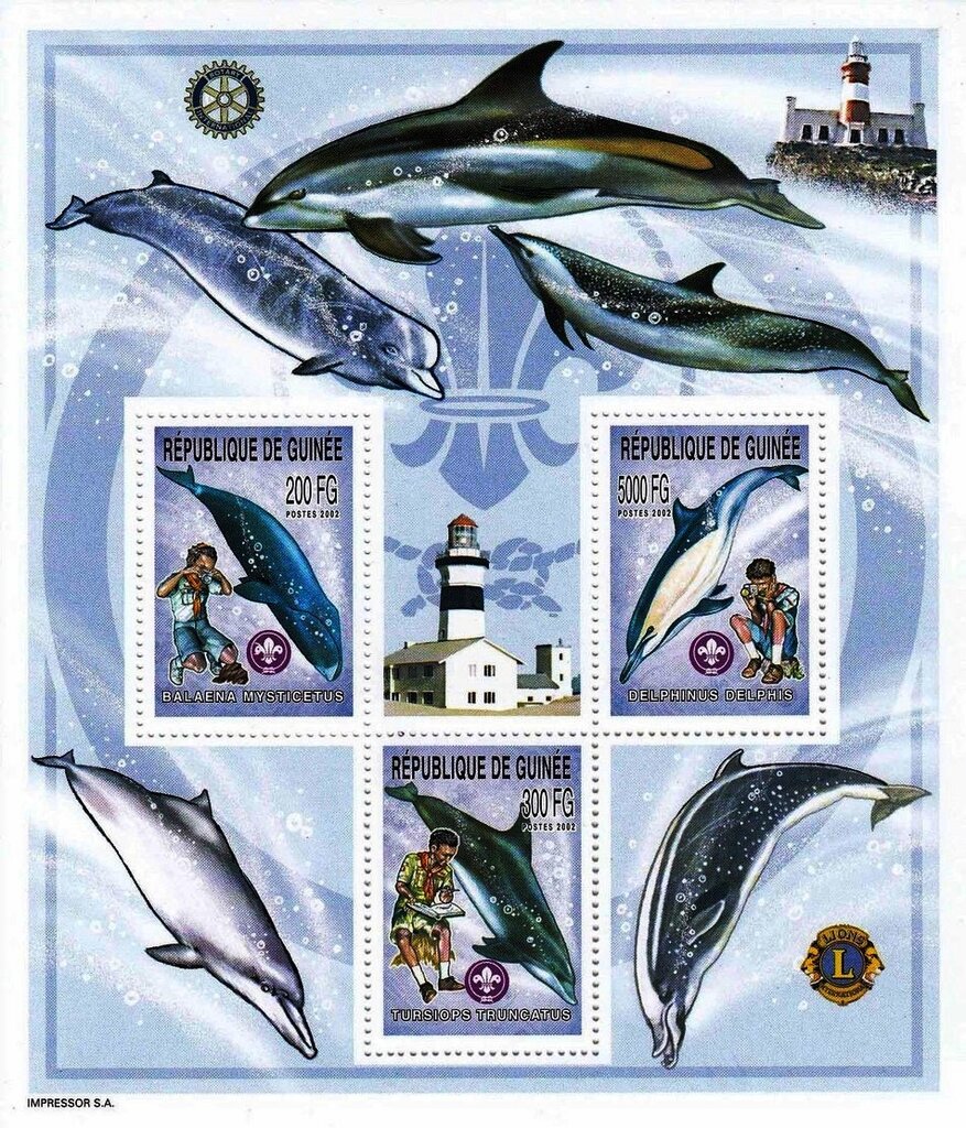 Scouts and Sea Mammals