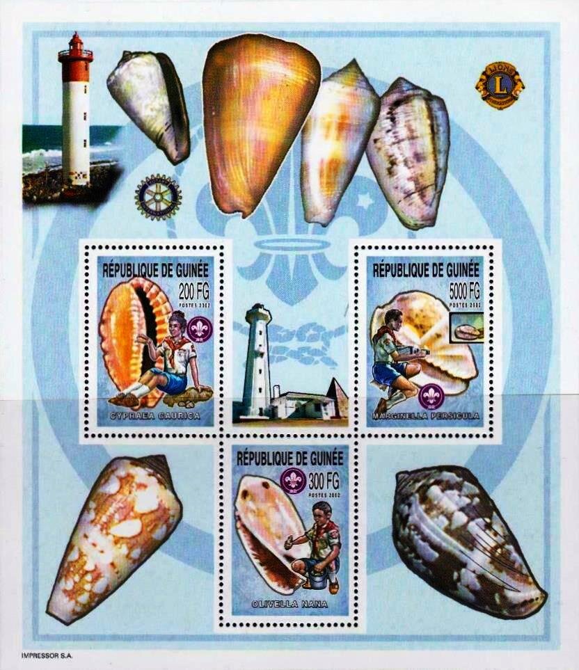 Scouts and Shells