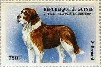 St. Bernard
