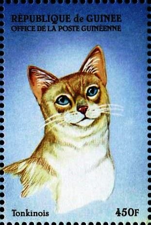 Tonkinese