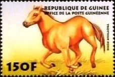 Trotteur Russe