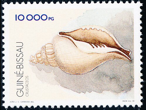 Shell