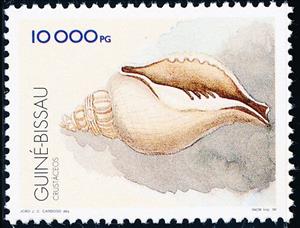 Stamp, Shell, Guinea-Bissau,  , Animals (Fauna), Crustaceans, Sea Life, Shells