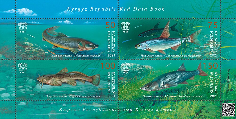 Fish of the Red Book Of Kyrgyzstan