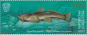 Stamp, Turkestan Catfish (Glyptosternon reticulatum), Kyrgyzstan,  , Fishes