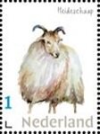 Dwingelderveld