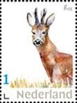 Stamp, Dwingelderveld, Netherlands- Personalized stamps,  , Deer