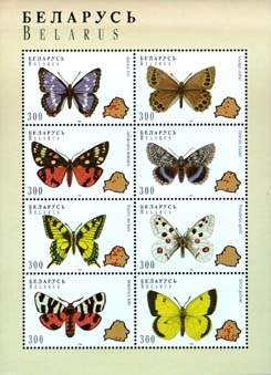 Sheetlet Butterflies