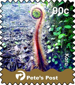 Koru (Sprouting Fern)