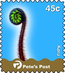 Koru (Sprouting Fern) on the left, blue background