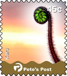 Stamp, Koru (Sprouting Fern) on the right, pink background, Personalized and Private Mail Stamps,  , Ferns, Plants (Flora)