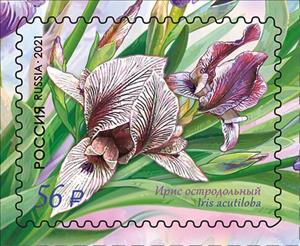 Stamp, Iris acutiloba, Russia,  , Flowers