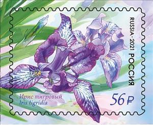 Stamp, Iris tigridia, Russia,  , Flowers