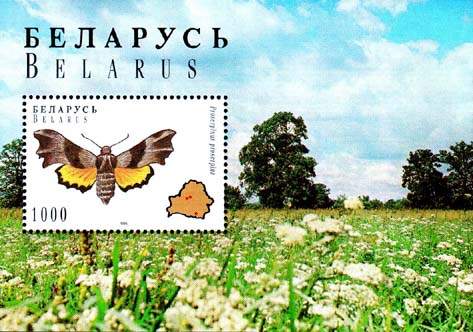 Souvenir sheet Butterflies - Vacciniina optilete