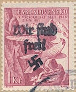 Falco peregrinus, overprinted