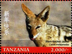 Stamp, Black lack-backed jackal (Lupulella mesomelas), Tanzania,  , Animals (Fauna)