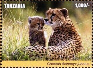 Stamp, Cheetah (Acinonyx jubatus), Tanzania,  , Animals (Fauna), Cheetahs, Wild Cats
