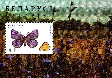 Souvenir sheet Butterflies - Proserpinus proserpina