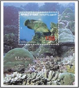 Souvenir Sheet, Humphead wrasse (Cheilinus undulatus), Yemen,  , Animals (Fauna), Fishes, Sea Life