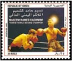 Naseem Hamed Kashmim