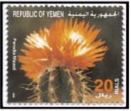 Parodia maasii