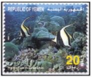 Pennant coralfish (Heniochus acuminatus)