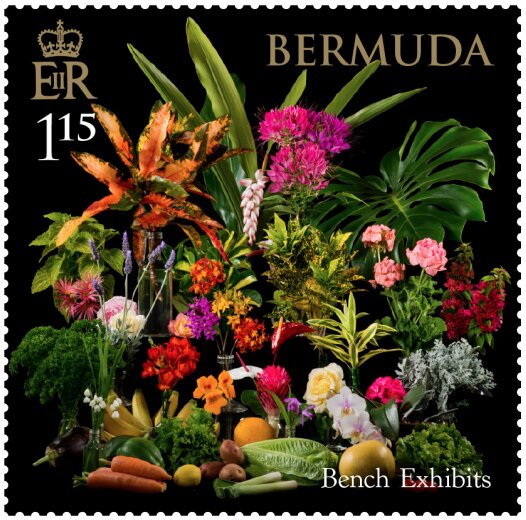 Bench Exhibits