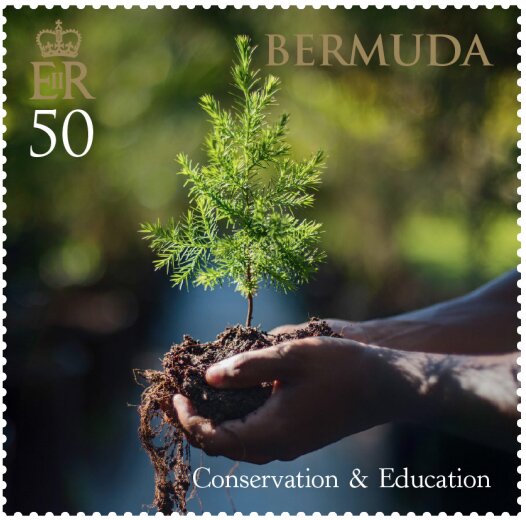 Conservation & Education